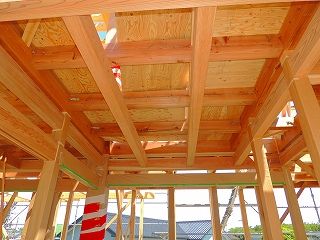 1-14-DSCN8158