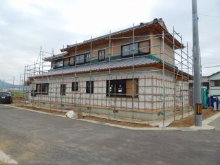3-DSCN6080