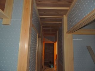 5-DSCN8840
