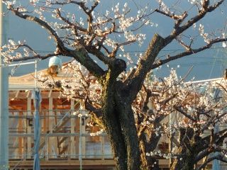 DSCN9863