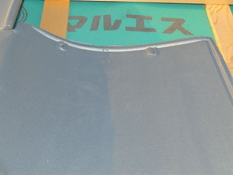 1-7-DSCN8749