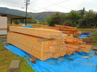 3-DSCN9964