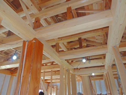 1-4-DSCN8951