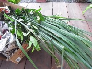 blog3
