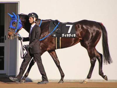 horsePhoto-1.php