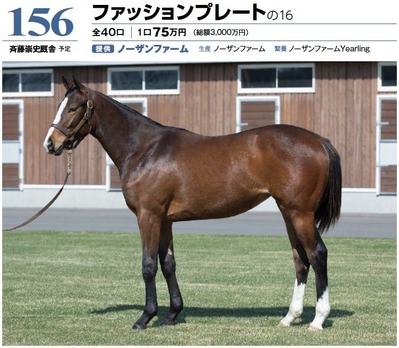 ファッションプレートの16