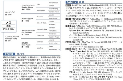 ファッションプレートの16血統