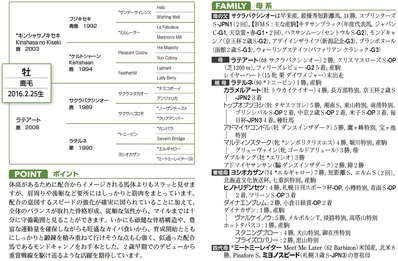 ラテアートの16血統