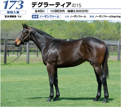 デグラーティア15