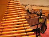 A Vietnamese musical instrument