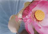 Scent of Lotus by KATSU Megumi