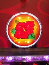 ec3ff779.jpg