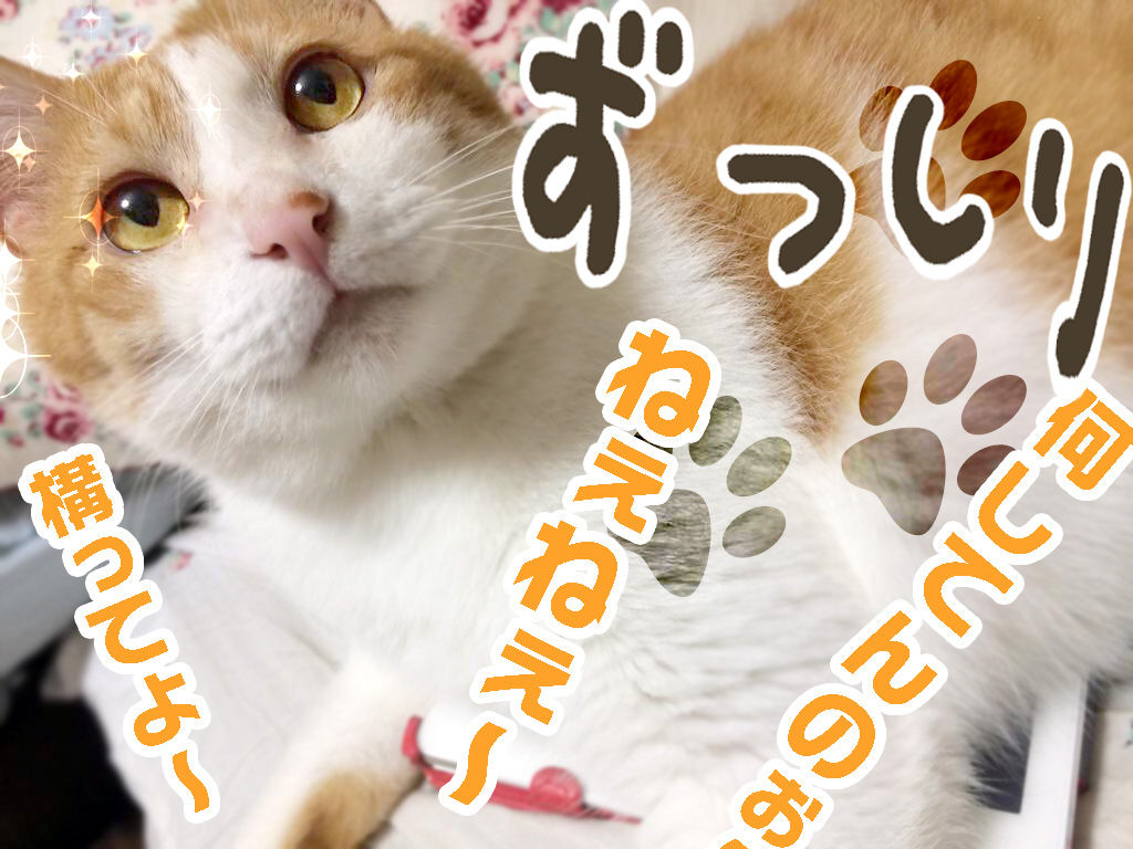 http://livedoor.blogimg.jp/marvelous_staff/imgs/6/9/69935621.jpg