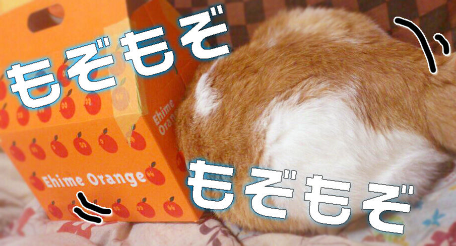 http://livedoor.blogimg.jp/marvelous_staff/imgs/c/8/c8ca34b0.jpg