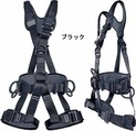 2010RLPROFIフルハーネスブラック