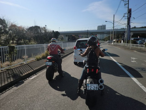 44065419_1445313488_166large