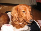 01e22089.JPG