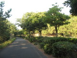 0a638022.JPG