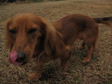 945f2449.JPG