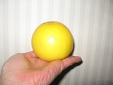 965d2645.JPG