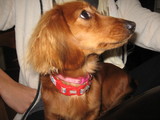 9dac0234.JPG