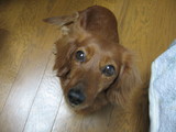 cb05841f.JPG