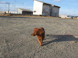 d975674a.JPG