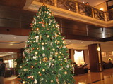 f6e5ffc7.JPG