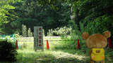 02伊賀上野城