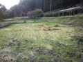 田んぼ2013年