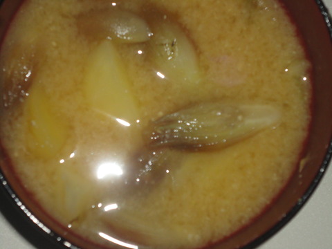 DSC01247