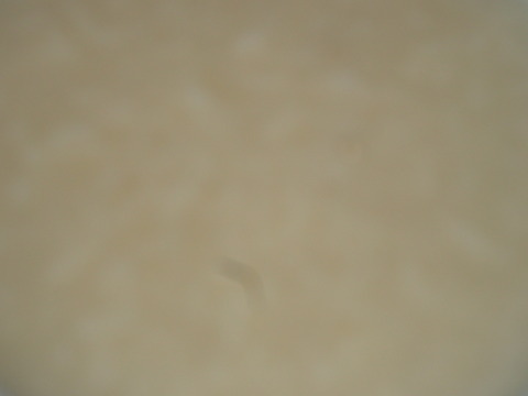 DSC09408