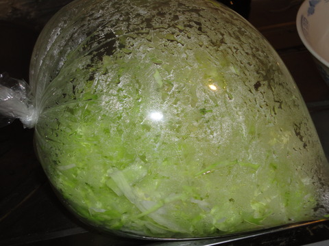 DSC08065