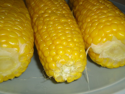 DSC00605
