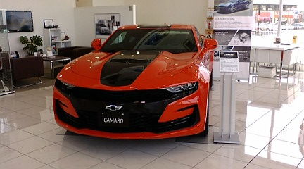 F1000043