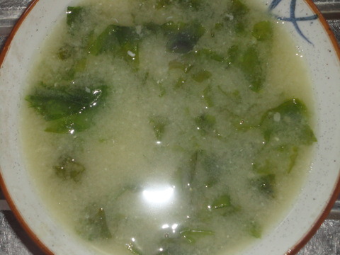 DSC05799
