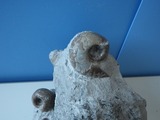 IMGP0722