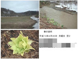 BlogPaint