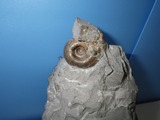IMGP0723