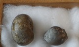 IMGP0725