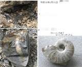 BlogPaint