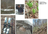 BlogPaint