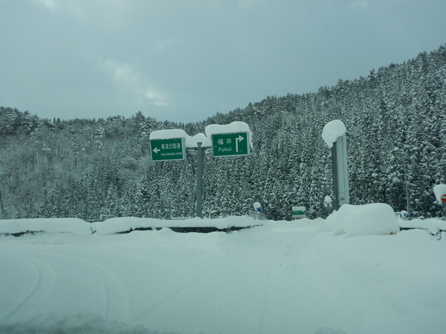 DSCN3154
