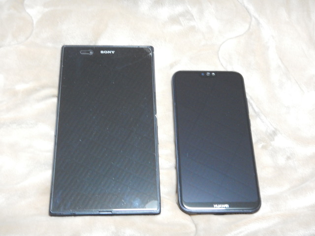 DSCN7054