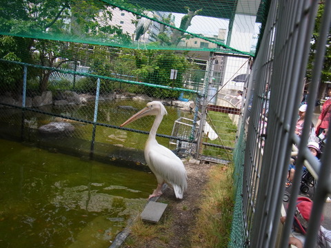 RIMG0004 (2)