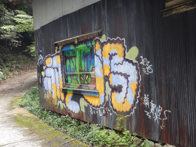 DSCN6974