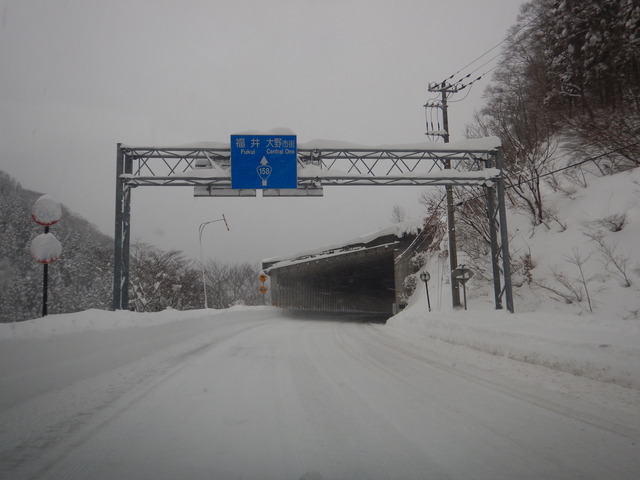 DSCN3157