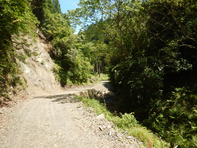 DSCN6832