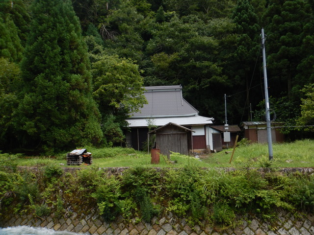 DSCN6979