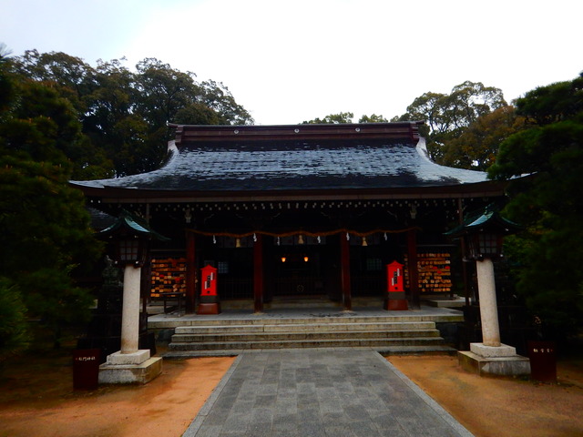 DSCN7365